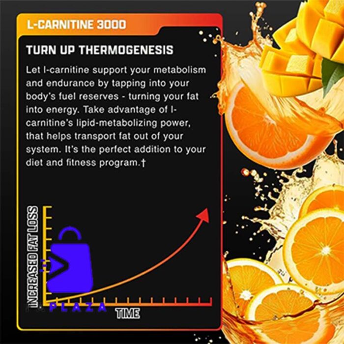 الکارنتین 3000 برند نوترکس